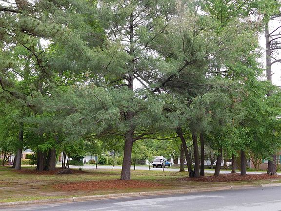 3rd image of 6 Eden Dr Lot 6