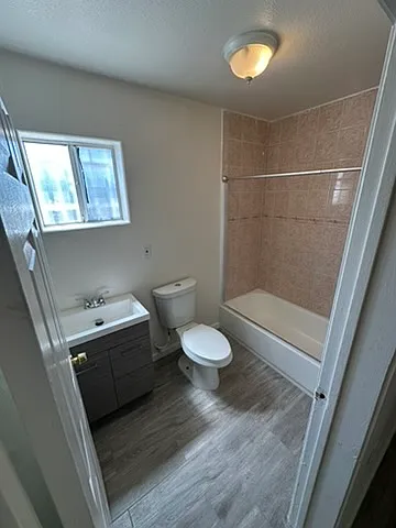 3 bed, 1240 sqft, $3,595 — Photo 4