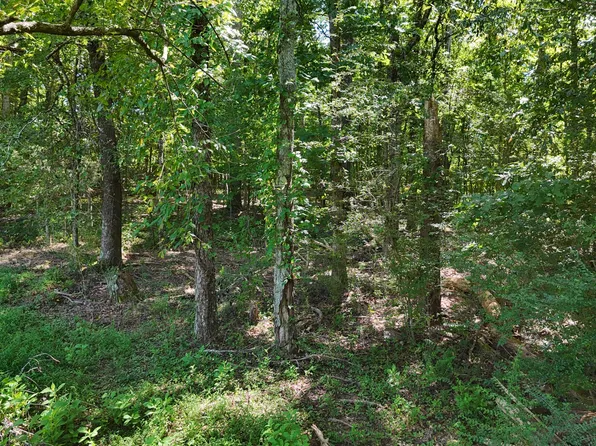 0 Fezzell Rd, Decatur, TN 37322