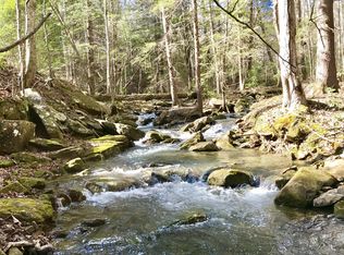 73 Braden Ln, Coalmont, TN 37313