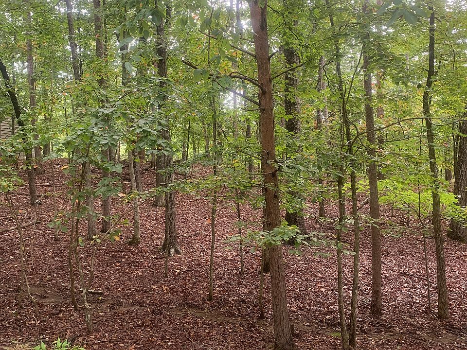 1st image of White Antelope St