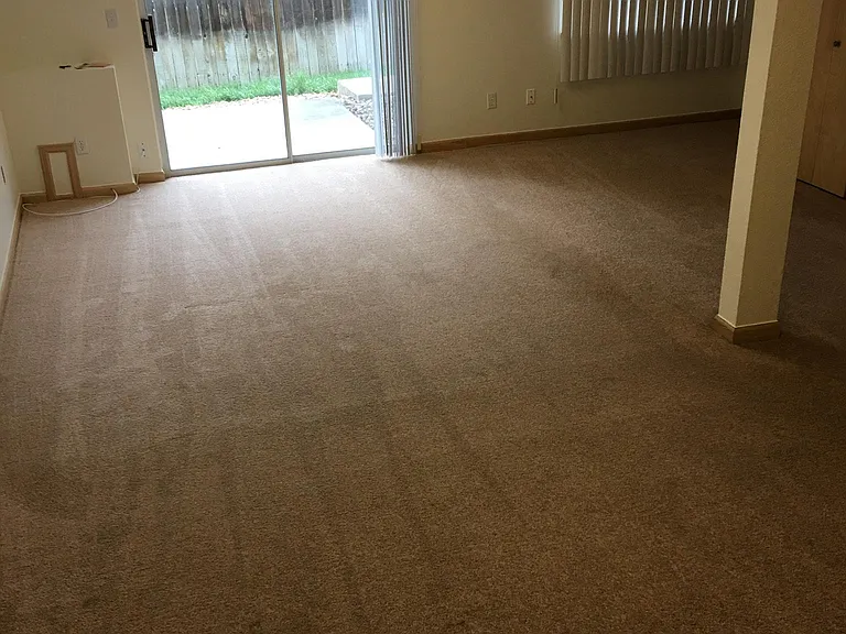 Walk Out Basement