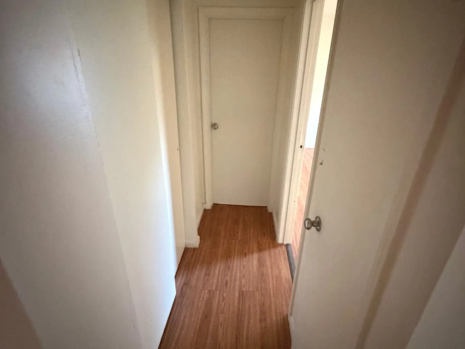 1 bed, $875 — Photo 3