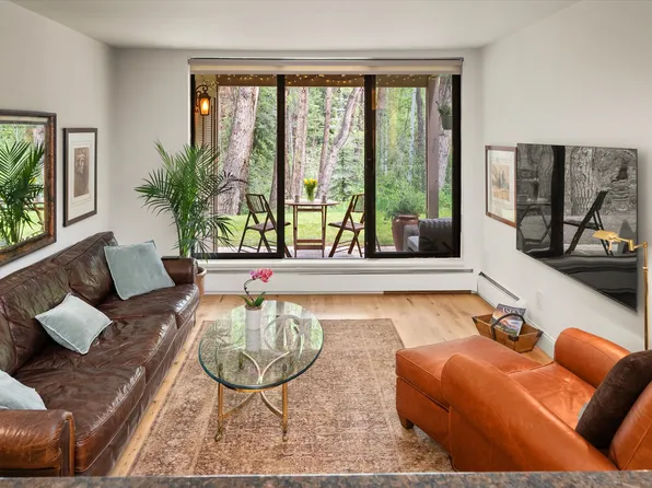 412 Vine St #412, Aspen, CO 81611