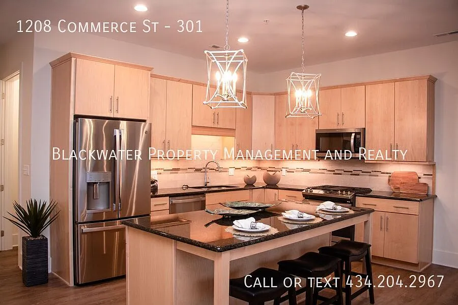 Luxury 2 Bedroom Condo in Downtown Lynchburg! — Photo 4