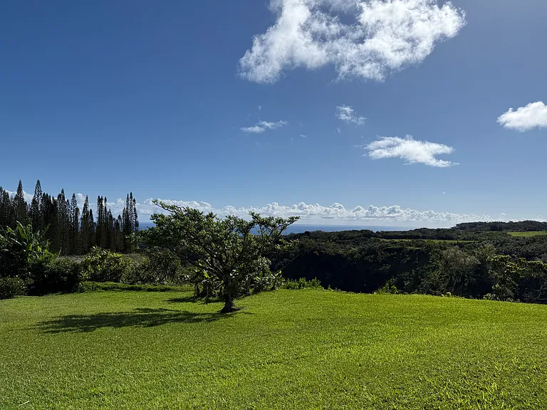 Waonahele Pl — Photo 27