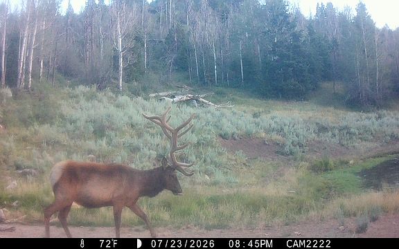 3rd image of Tbd Atchee Ridge Rd