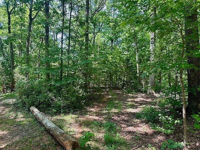 2nd image of 531 Fants Grove Rd