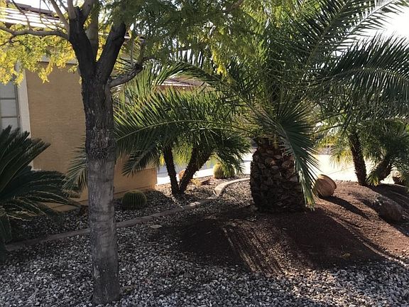Yavapai front landscape