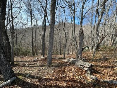 107 Point Lookout Ln, Independence, VA, 24348