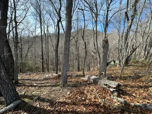 107 Point Lookout Ln, Independence, VA 24348