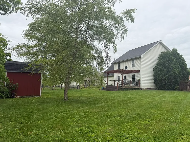View from Northeast corner of back yard