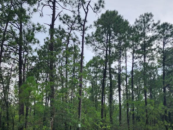 Tr-45 Cactus Road, Boiling Spring Lakes, NC 28461