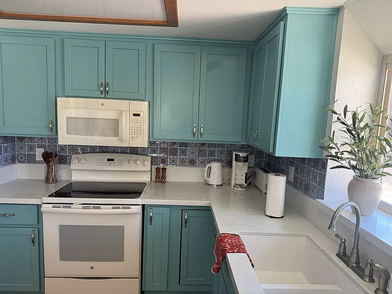 30023 White Wake Dr — Photo 10