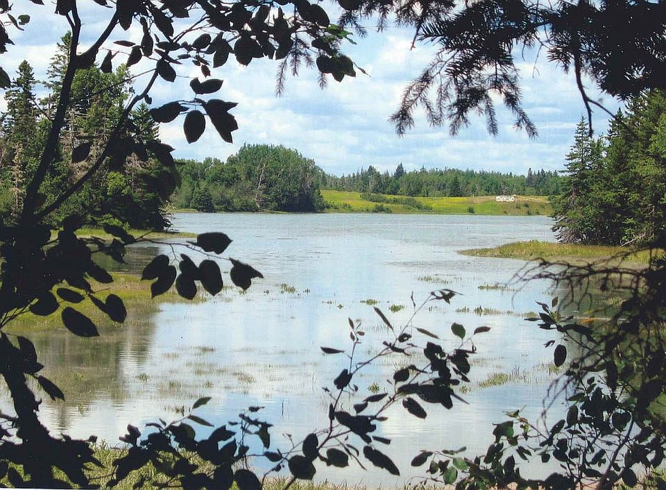 2nd image of Mason Bay Rd