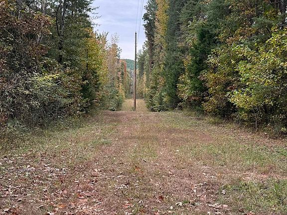 3rd image of 12310 County Road 7