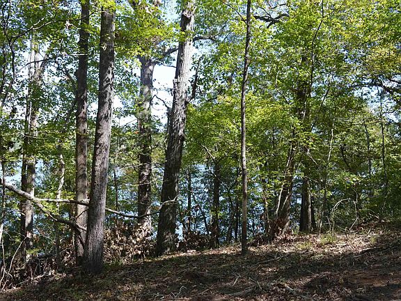 4th image of LOT 25 Wateree Key Ct