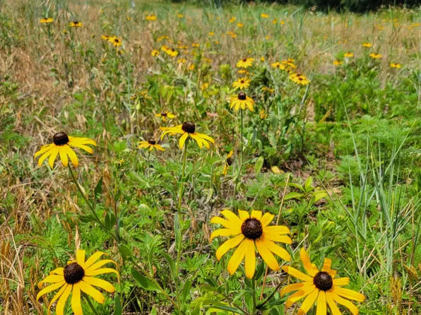 5929914-S59W2991 Aces Ct, Waukesha, WI 53189