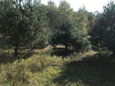 6901 W Decker Rd #B, Ludington, MI, 49431