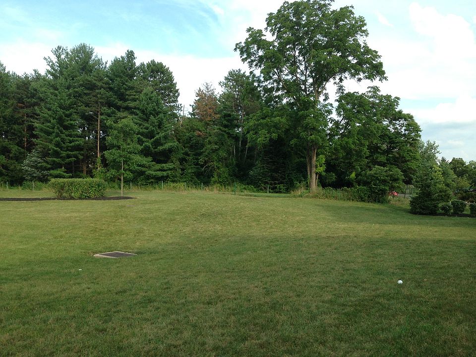 Side/back yard