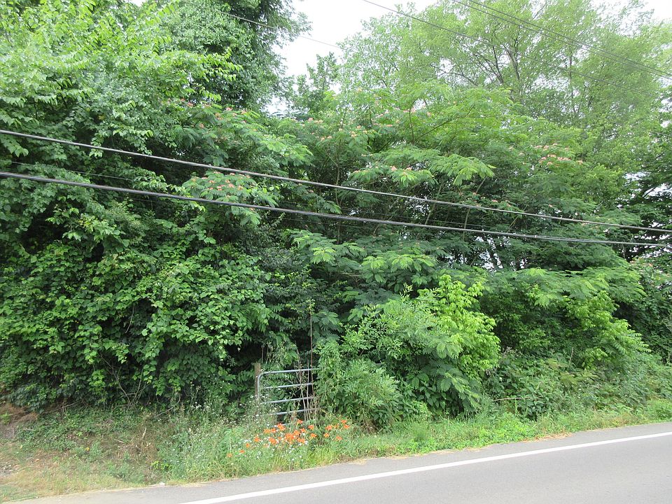 2nd image of Holston Dr