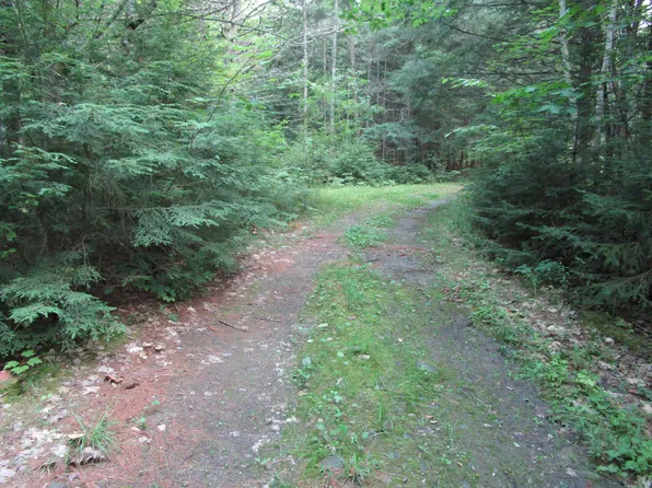 Map1L14-10 Bray Circle, Passadumkeag, ME 04475