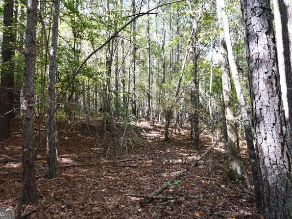 1 Poplar Springs Rd, Buchanan, GA 30113