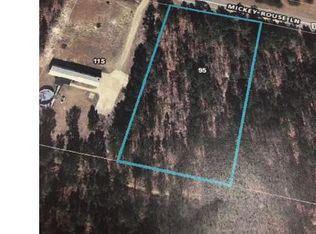 95 Mickey Rouse Ln, Cameron, NC 28326