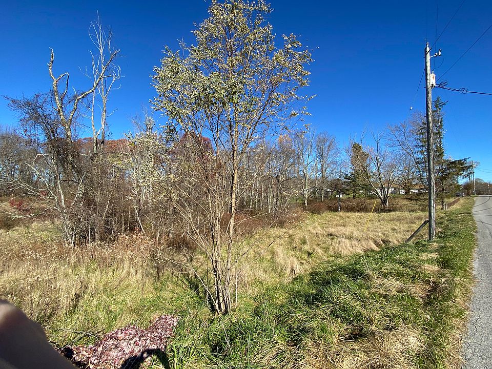 2nd image of Mountain View Rd