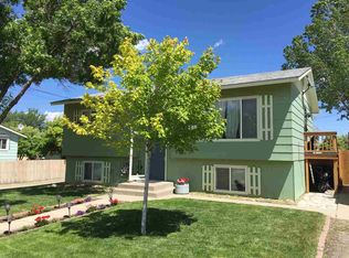 1205 N Fee St, Helena, MT 59601