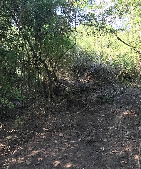 Manuel Rd — Photo 12