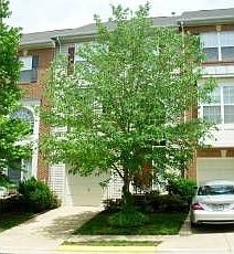 1st image of 11430 Tiger Lily Ln