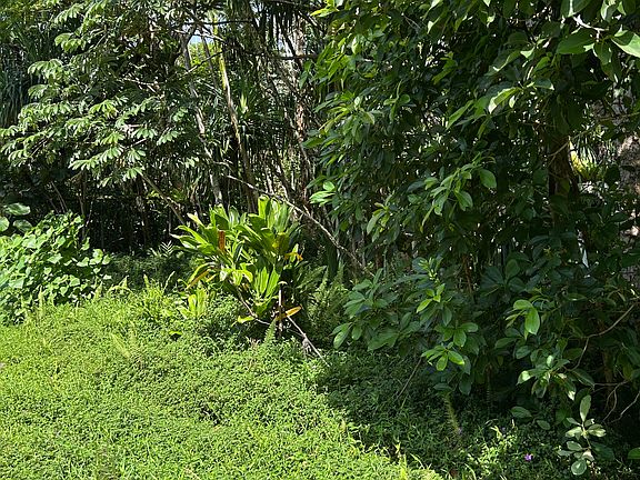 2nd image of Puni Makai Loop S Lot 1263