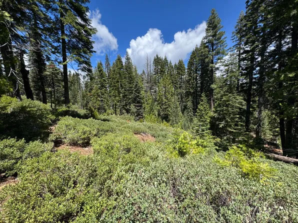 3005 Sprucewood Ln, Strawberry Valley, CA 95981