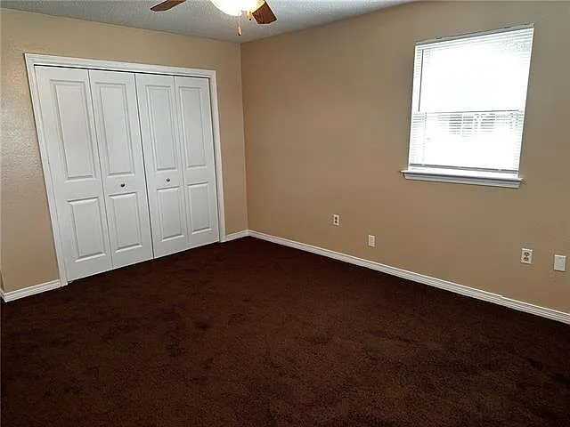 5300 Alpaca Dr — Photo 12