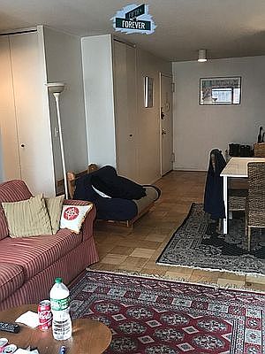 5th image of 301 E 45th St APT 14F
