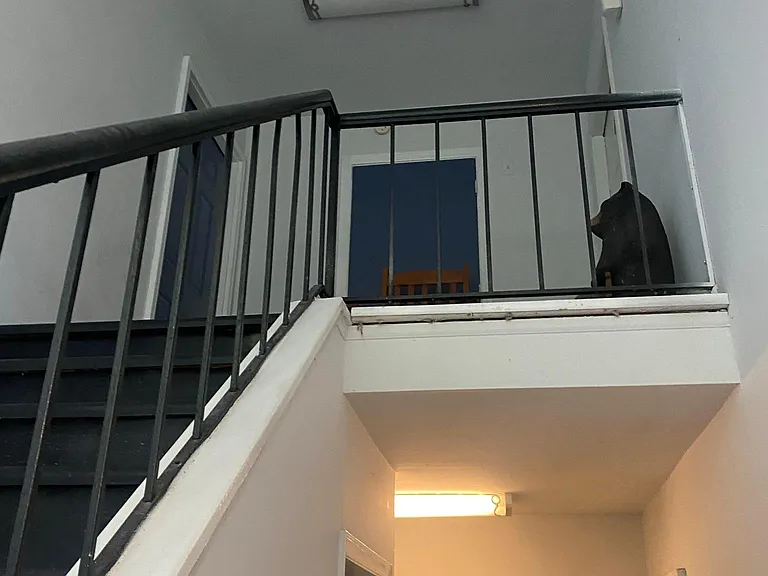 W.R. Cropper Apartments — Photo 30
