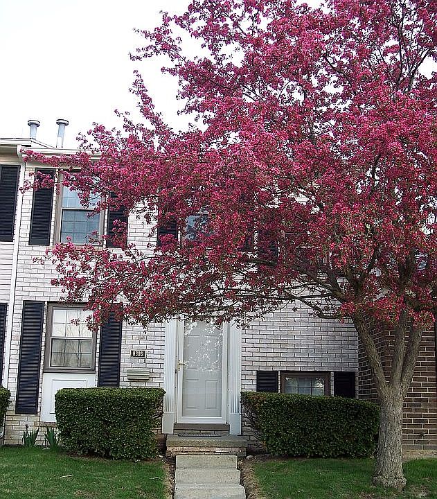 1st image of 8306 Lakeview Dr