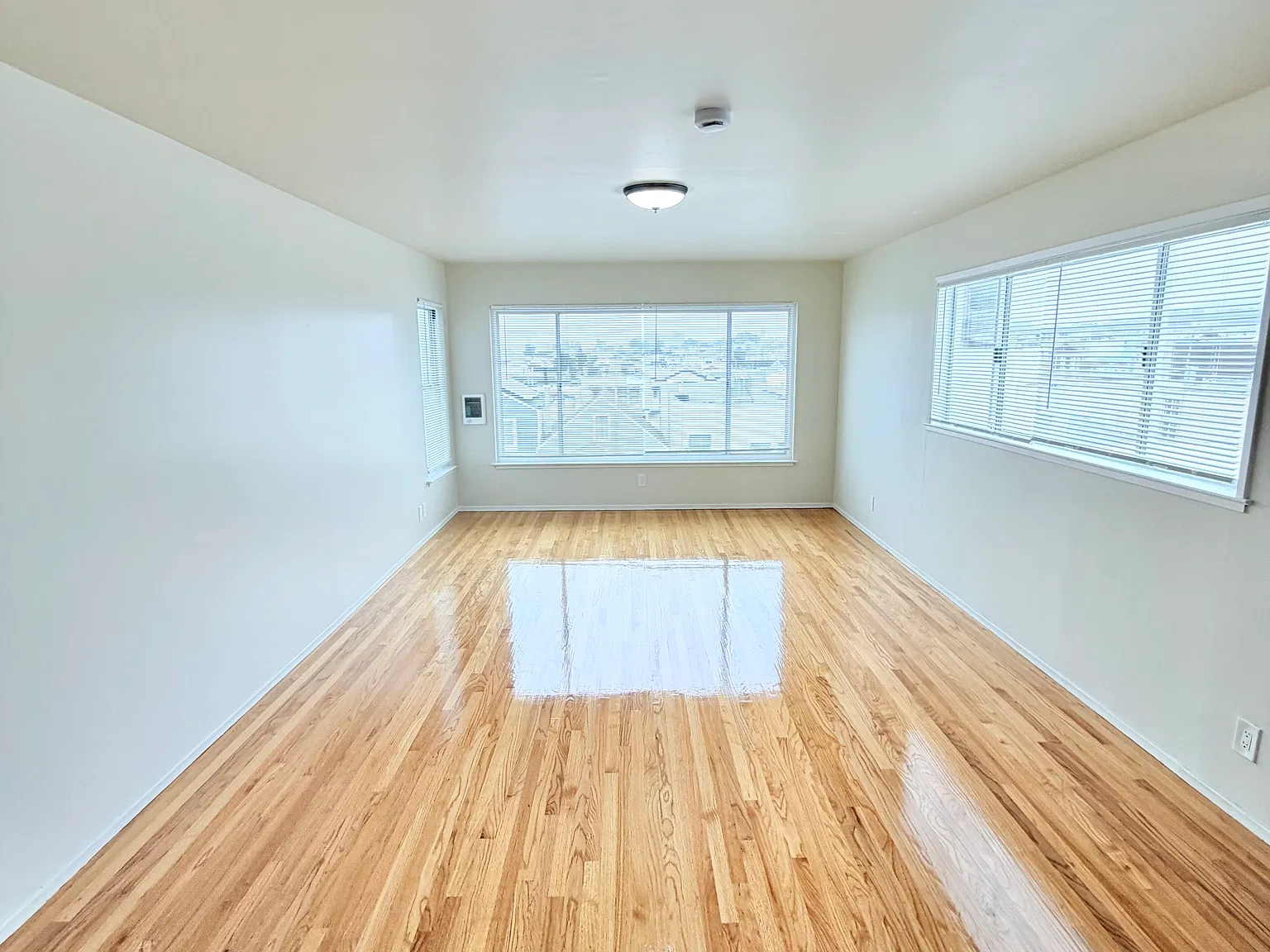 1 bed, 1100 sqft, $6,000 — Photo 3