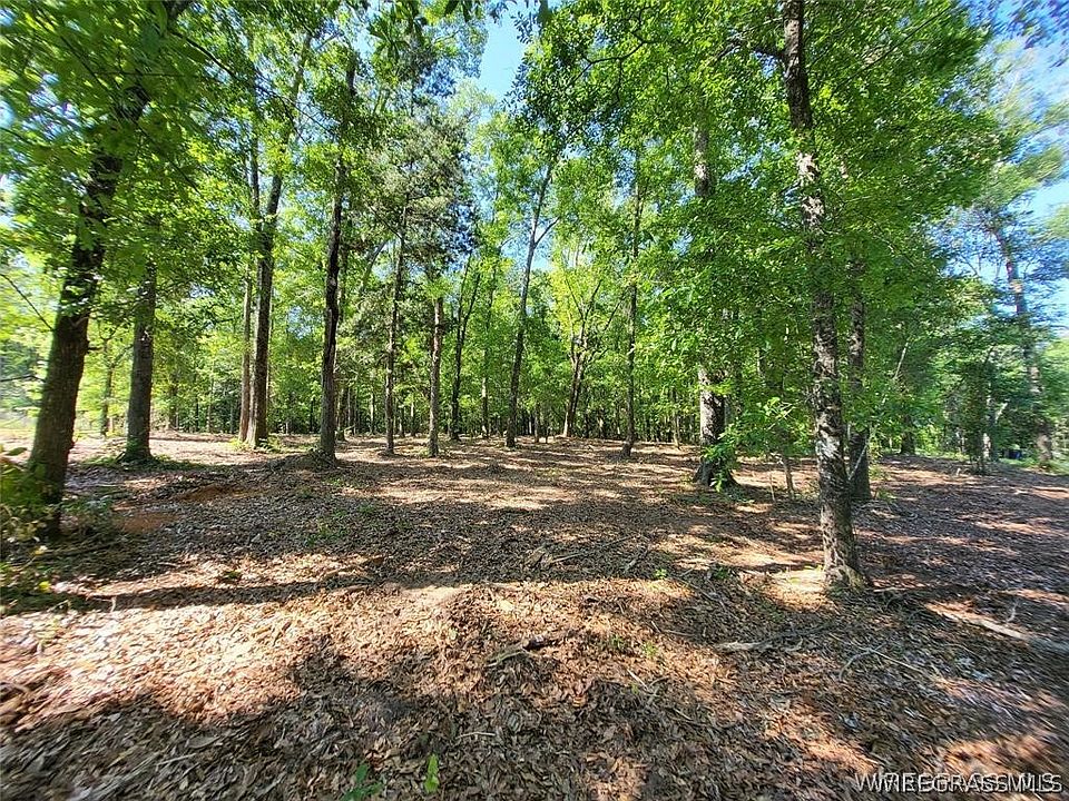 1st image of 102 Preserve Dr