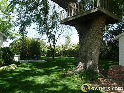 Looking into back yard