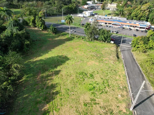 Km 11.8 Carretera #149, Ciales, PR 00638
