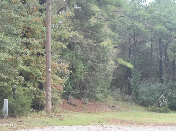 10779 Bethel Rd, Olive Branch, MS 38654