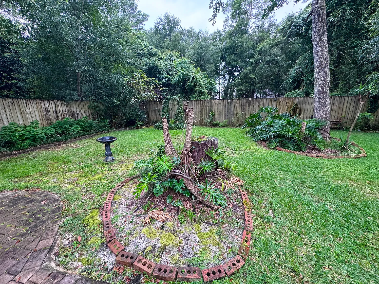 3 bed, 1567 sqft, $2,200 — Photo 4