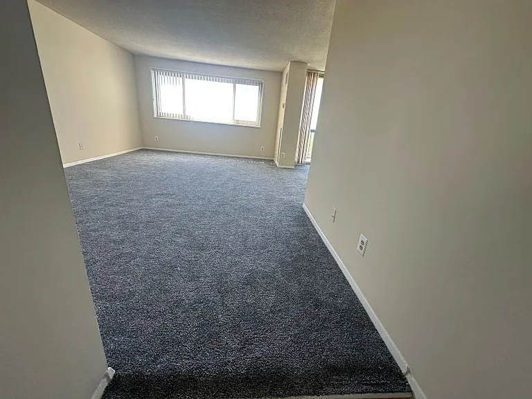 9727 Mount Pisgah Rd — Photo 141