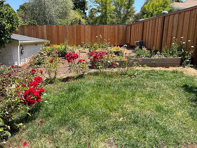 1135 The Alameda — Photo 23