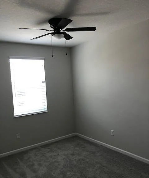 4710 New Orleans Cv — Photo 9