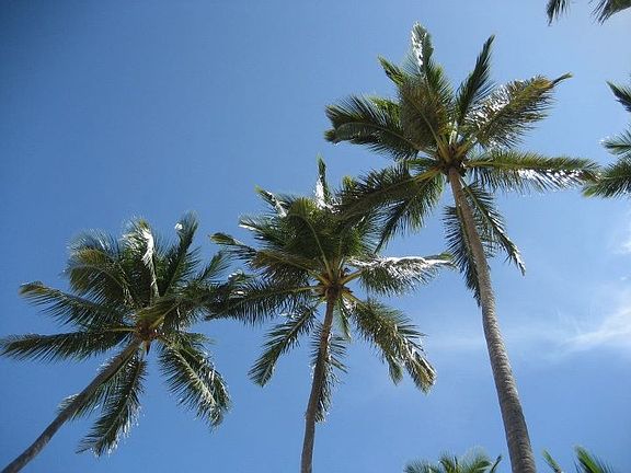 Beaches