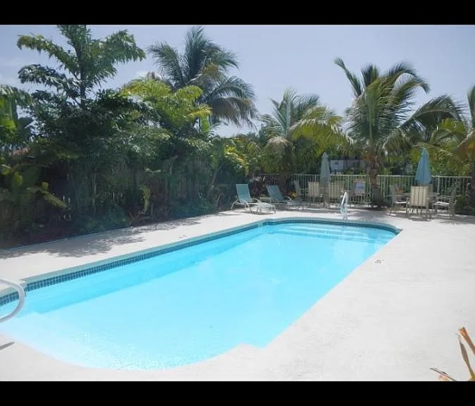 Tropical setting pool