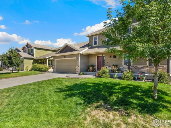 6962 Pettigrew St, Wellington, CO 80549